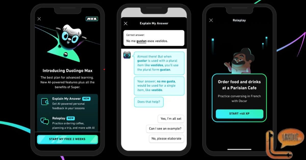 What Explain My Answer In Duolingo Max