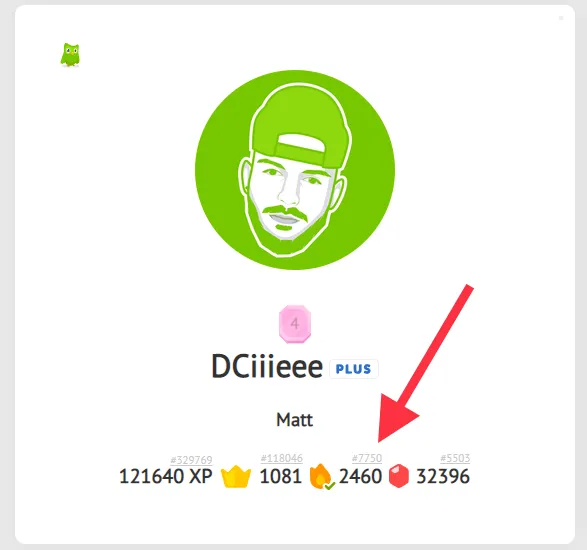 Who Holds the Longest Duolingo Streak in 2025?